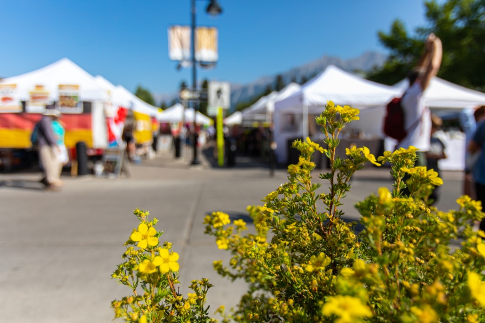 street scene during summer